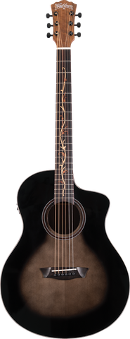 Washburn Vite SV9