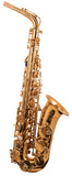 Trevor James 'The Horn' Alto Sax Outfit - Gold Lacquer 3730G