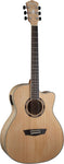 Washburn Apprentice AG40CE Electric-Acoustic Guitar