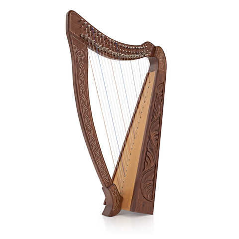 22 String Harp - £20 per Month!