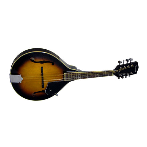 Ashbury Mandolin