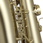 Trevor James 'The Horn 88' Alto Saxophone