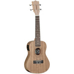 Tanglewood TWT3-E