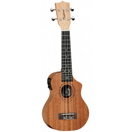 Tanglewood TWT1-CE