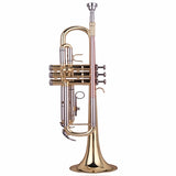 Wisemann DTR-200 Trumpet