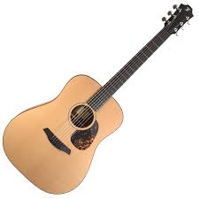 Furch Indigo D-CY